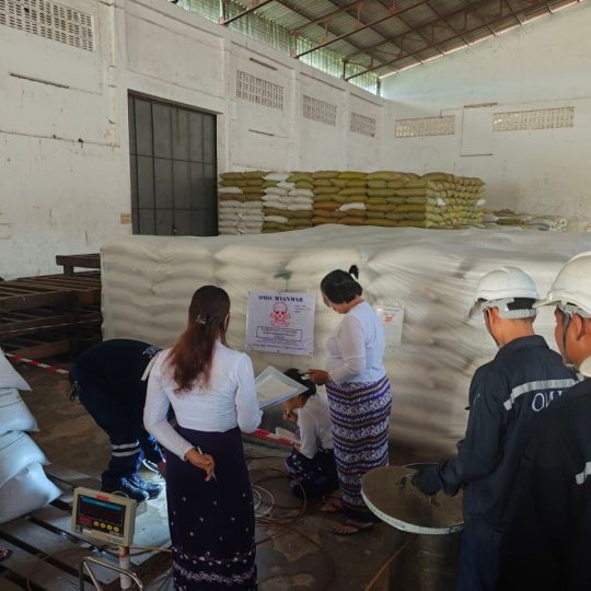 fumigation-3-540x540.jpg