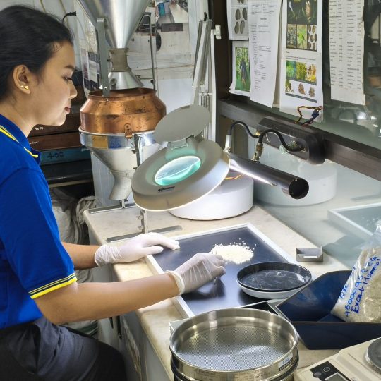 inspection-6-540x540.jpg