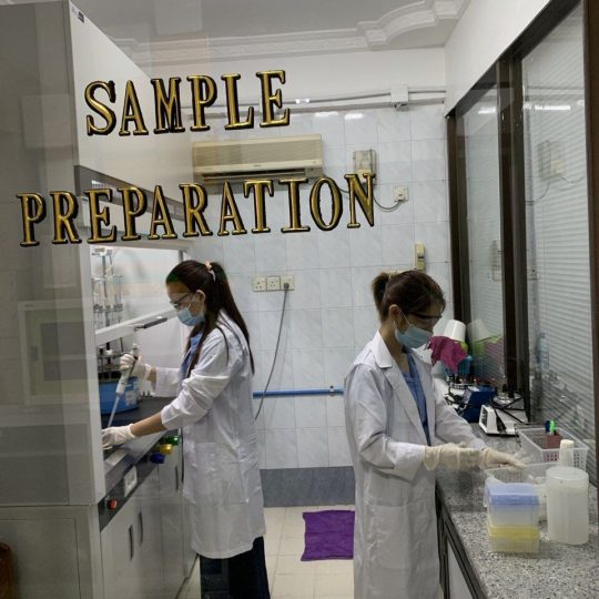 laboratory-19-540x540.jpg