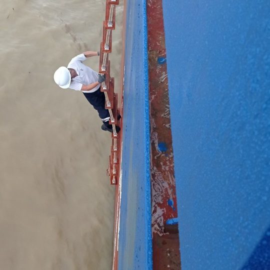marine-4-540x540.jpg
